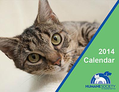 Buy A Calendar