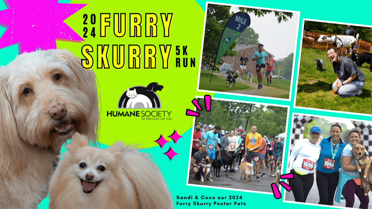 2024 Furry Skurry 5KHumane Society Of Greater Dayton   FS 2024 Facebook Cover 2 1536x864 