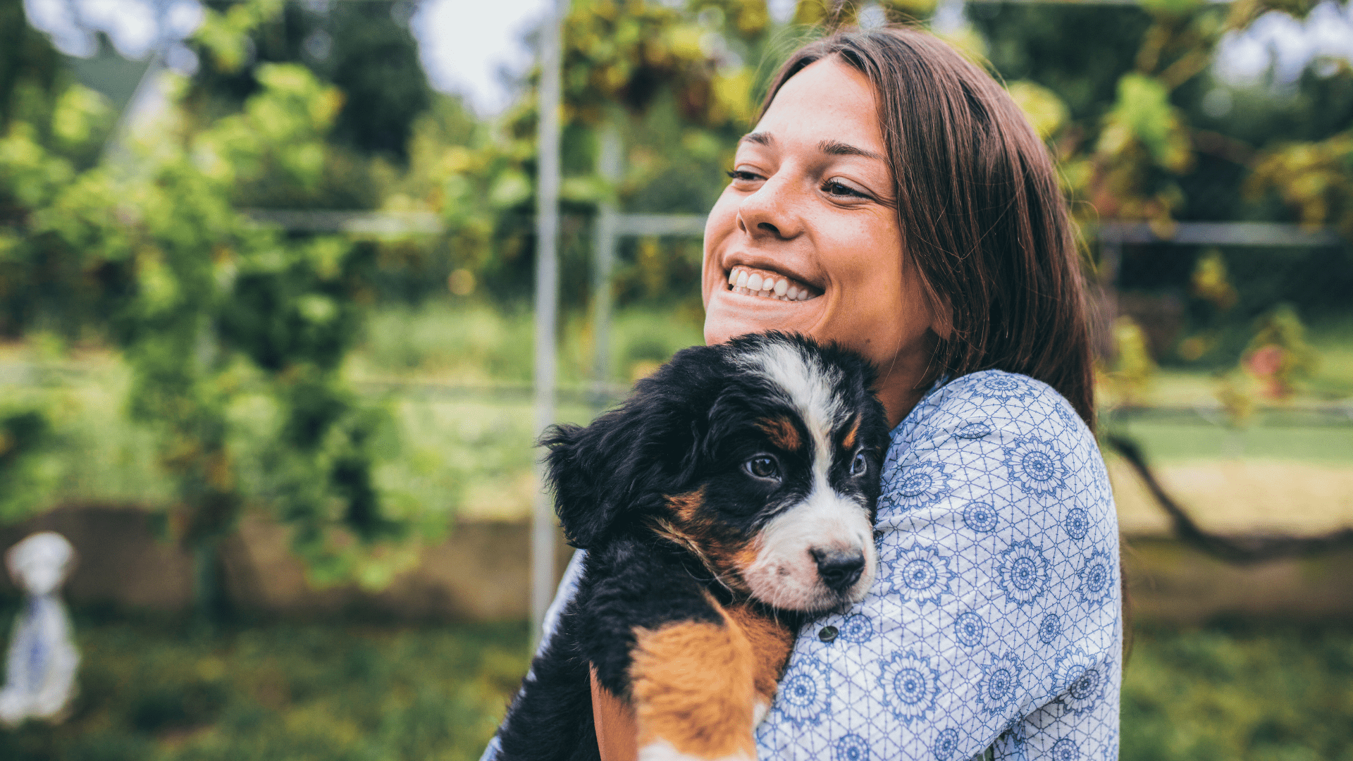 Adoption Event at Pet Supplies Plus BeavercreekHumane Society of